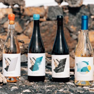 Bodega olivina experience