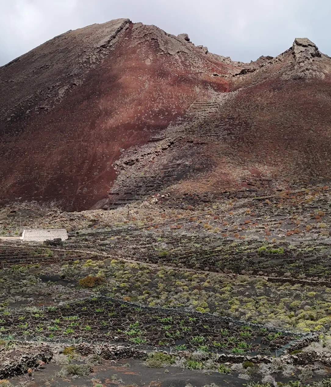 Entre volcanes y viñas - Imagen 2