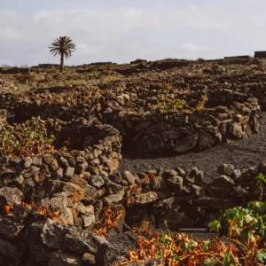 Entre volcanes y viñas